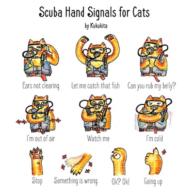 Scuba Cat Hand Signals