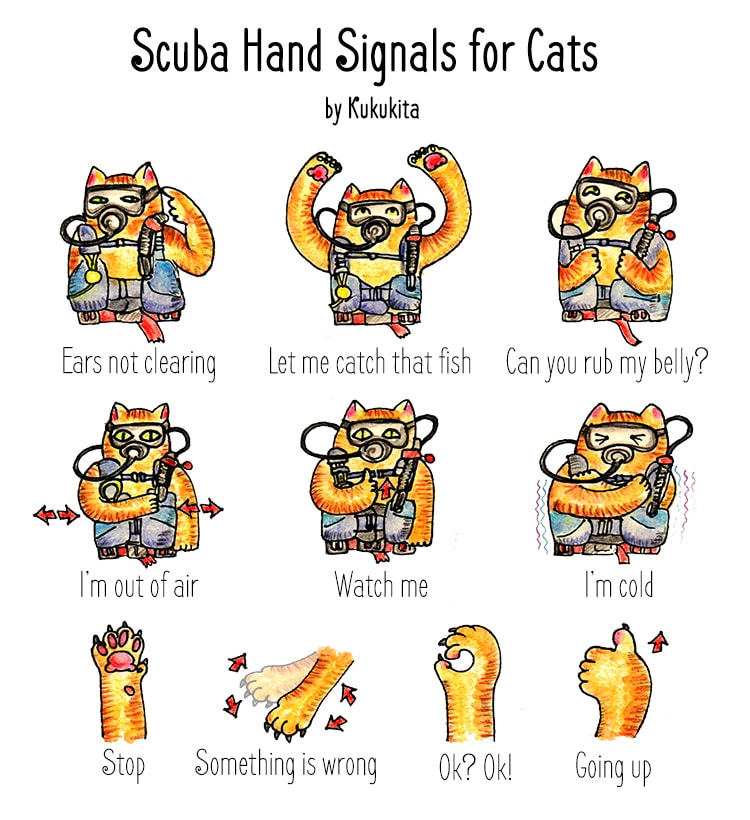 Scuba Cat Hand Signals